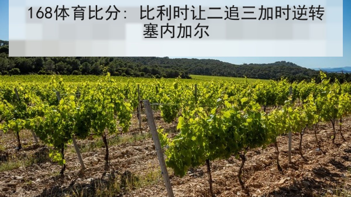 168体育比分: 比利时让二追三加时逆转塞内加尔