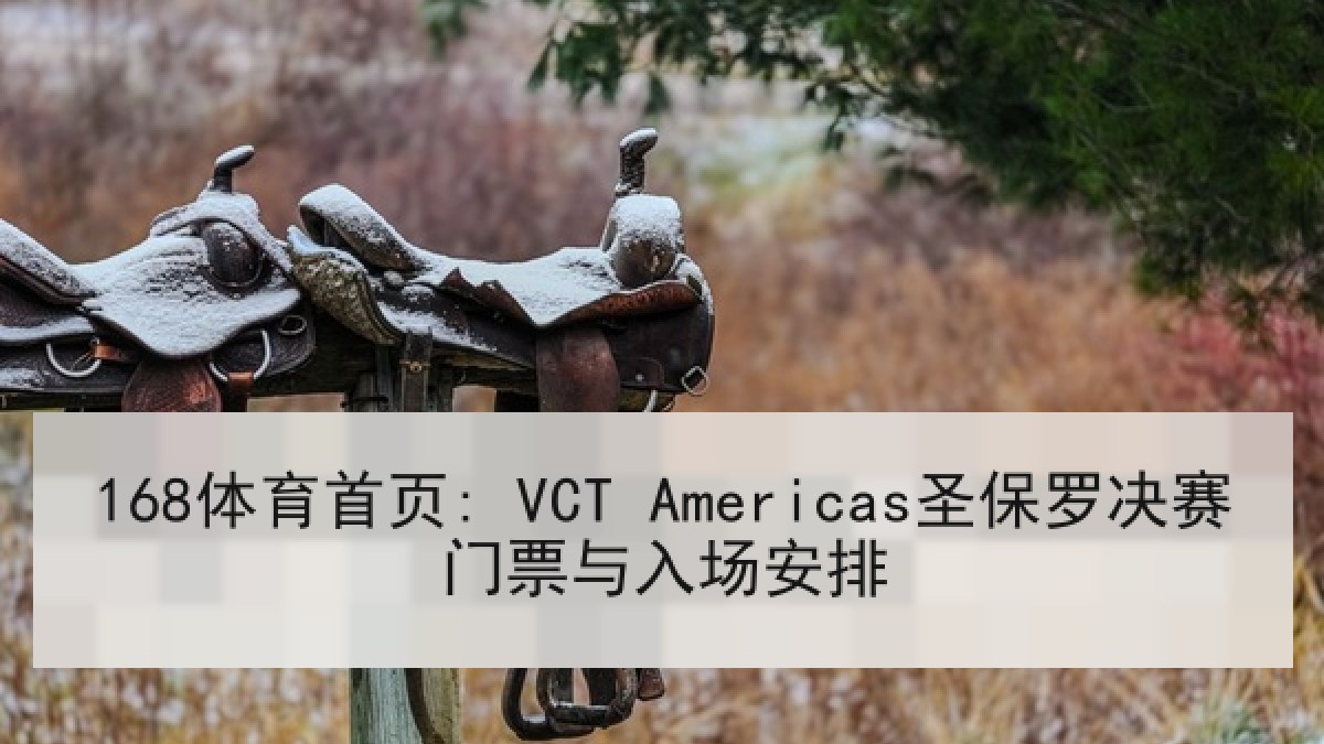 168体育首页: VCT Americas圣保罗决赛门票与入场安排