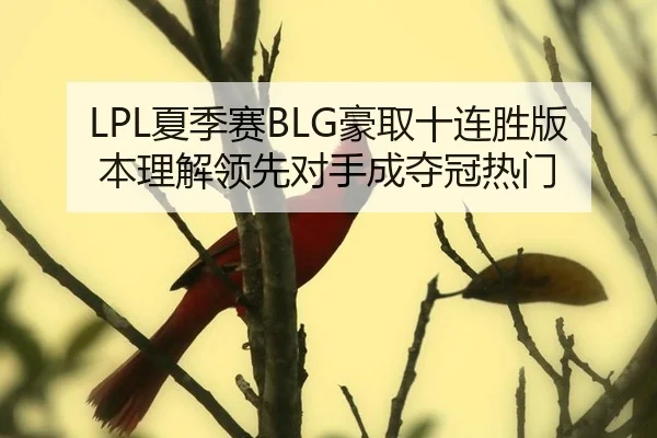 xia-ji-sai-hao-qu-shi-lian-sheng-ban-ben-li-jie-ling-xian-dui-shou-cheng-duo-guan-re-men-3-752.jpg