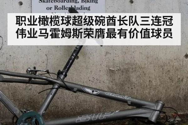 职业橄榄球超级碗酋长队三连冠伟业马霍姆斯荣膺最有价值球员